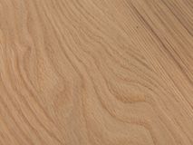 Salontafel ELM - Eik C-KOM-936-542