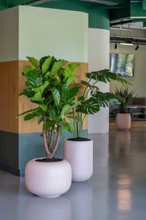 Bloempot SPHERE LOW WS - Powder Pink POP H8003-26-52