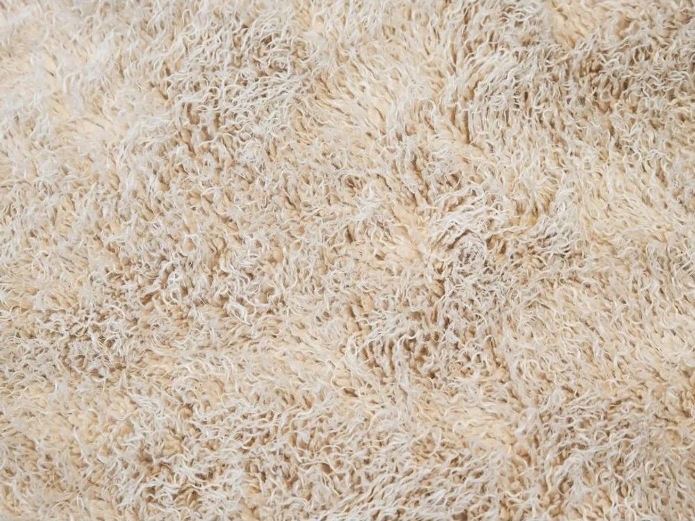 Tapijt CURLY - Crème KPI CURY12XX2002