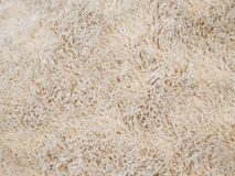 Tapijt CURLY - Crème KPI CURY12XX2002