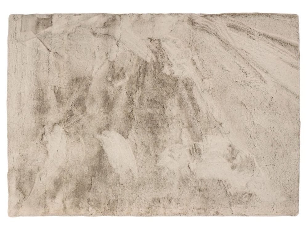 Tapijt RACCOON - Beige KPI RACC13XX2002