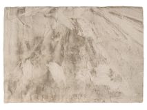 Tapijt RACCOON - Beige KPI RACC13XX2002