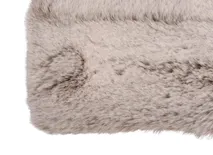 Tapijt RACCOON - Beige KPI RACC13XX2002