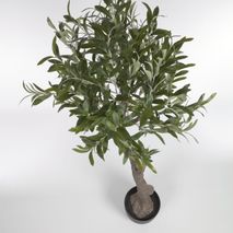 Kunstmatige olijfboom OLIVO KAV AA7343