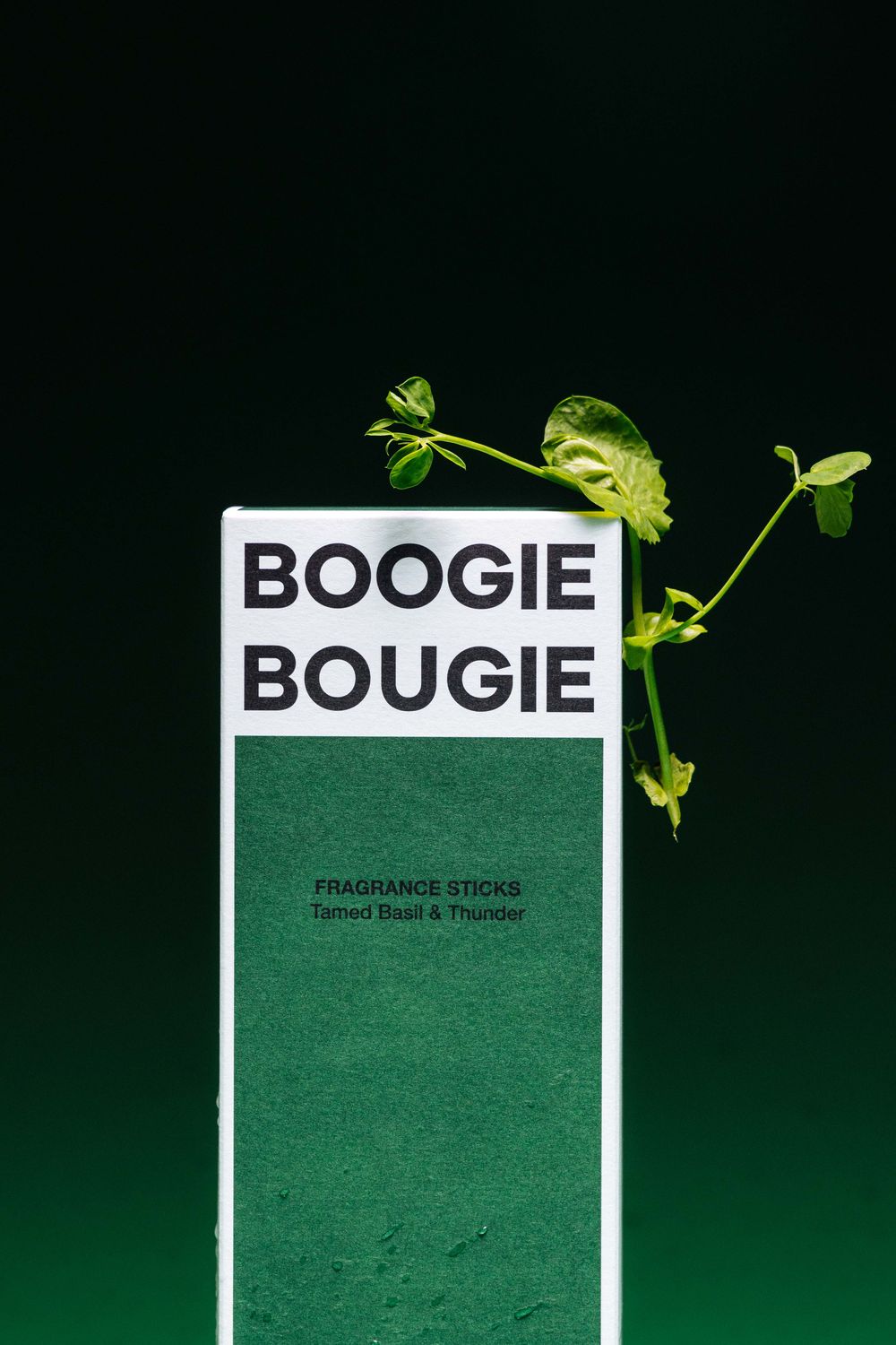 Geurstokjes TAMED BASIL & THUNDER - 200 ml BOB DITBT200