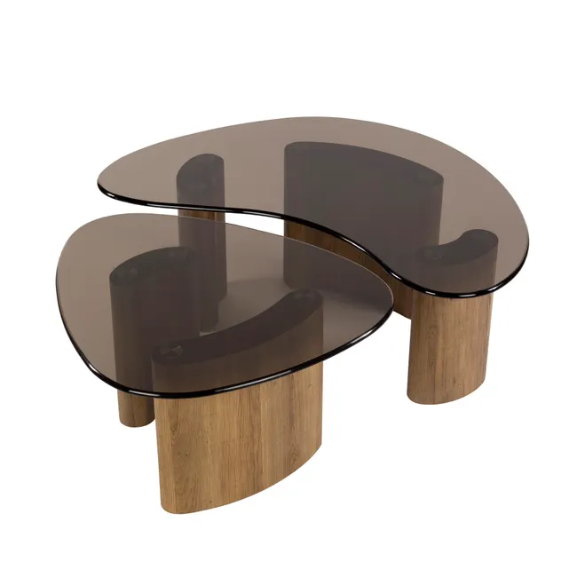 Set van 2 salontafels TINTO - Bruin rookglas