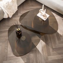 Set van 2 salontafels TINTO - Bruin rookglas ZLS 5721-39B