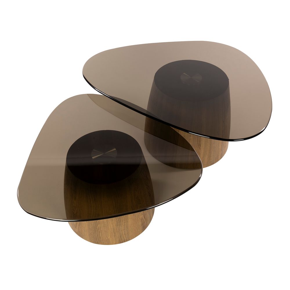 Set van 2 salontafels TINTO - Bruin rookglas ZLS 5721-39B