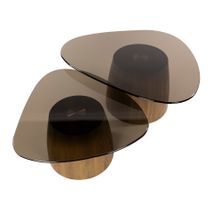 Set van 2 salontafels TINTO - Bruin rookglas ZLS 5721-39B