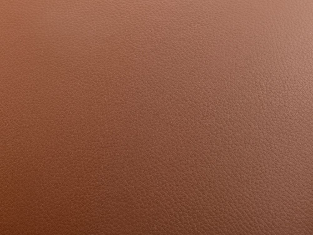 2-zit BRADLEY - Cognac leder DDV-19-000329-LR-C228