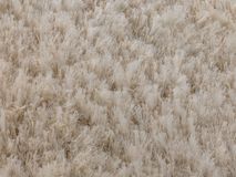 Tapijt RHAPSODY - Beige OST-2-003-100