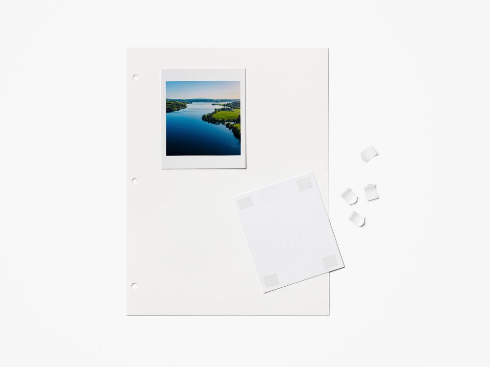Fotoalbum DOGS - Beige PRT PW00792