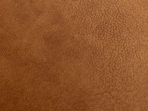 Eetkamerstoel MARIA - Cognac MXF-310-TZ3