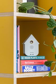 Sound Box CUCKOO - White PST KA6095WH