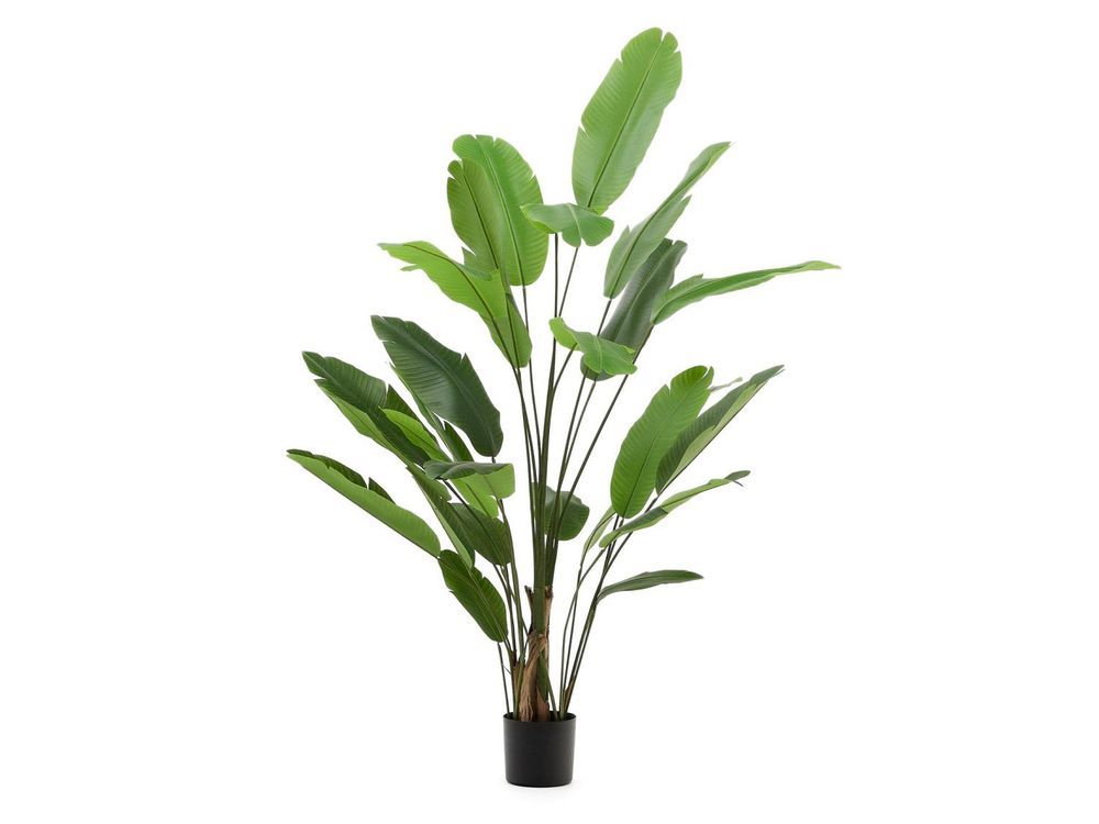 Kunstboom bananenplant BANANO KAV D1700013SS06