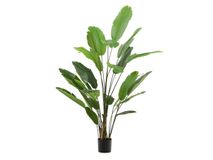 Kunstboom bananenplant BANANO KAV D1700013SS06