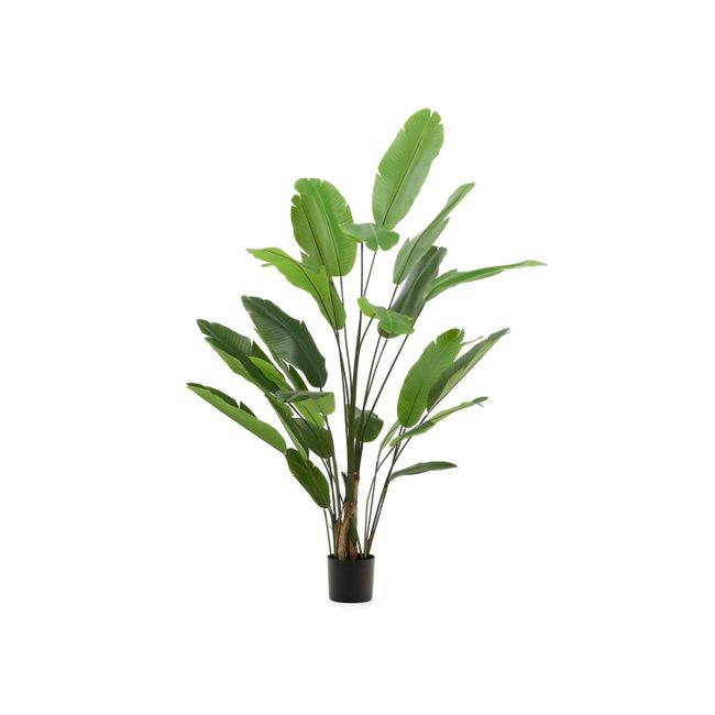 Kunststof kunstboom bananenplant `BANANO` met groene bladeren in zwarte pot.