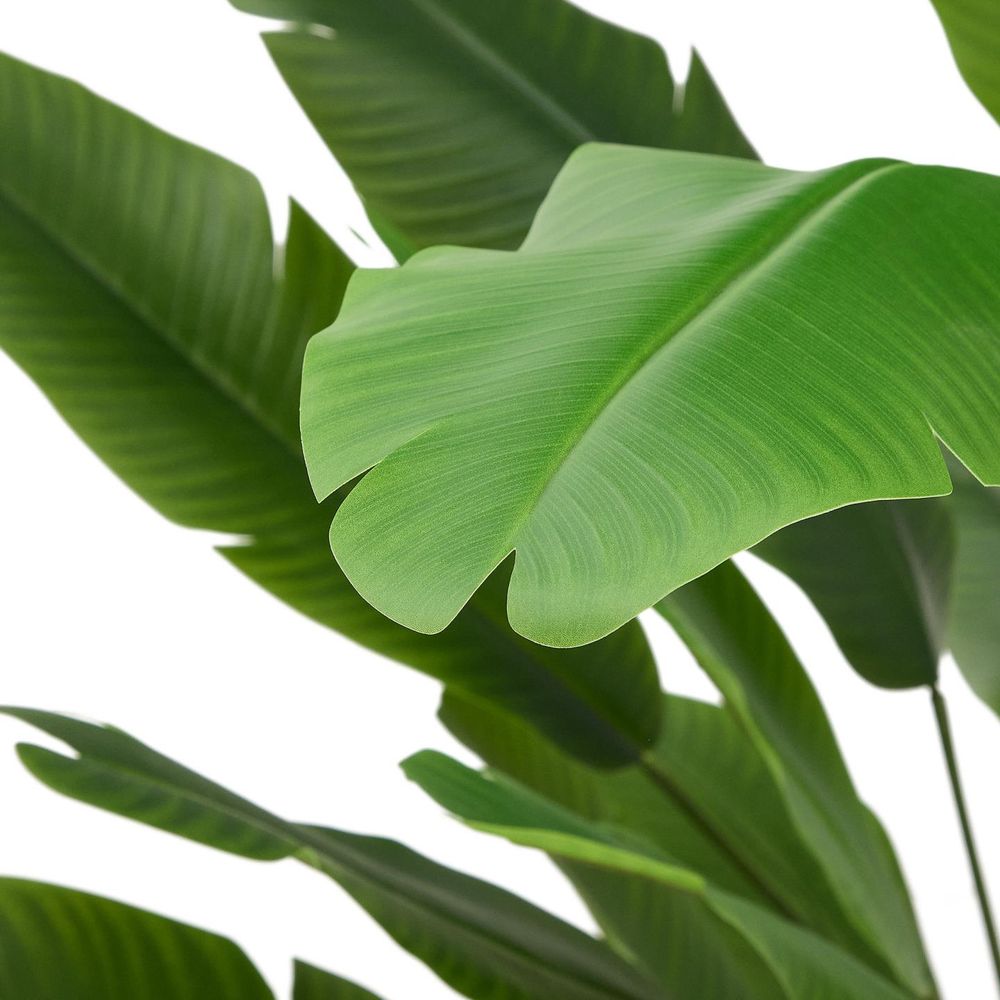 Kunstboom bananenplant BANANO KAV D1700013SS06