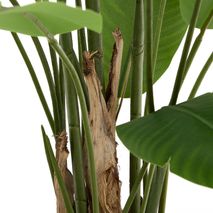 Kunstboom bananenplant BANANO KAV D1700013SS06