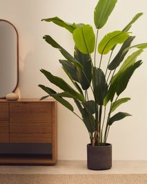 Kunstboom bananenplant BANANO KAV D1700013SS06