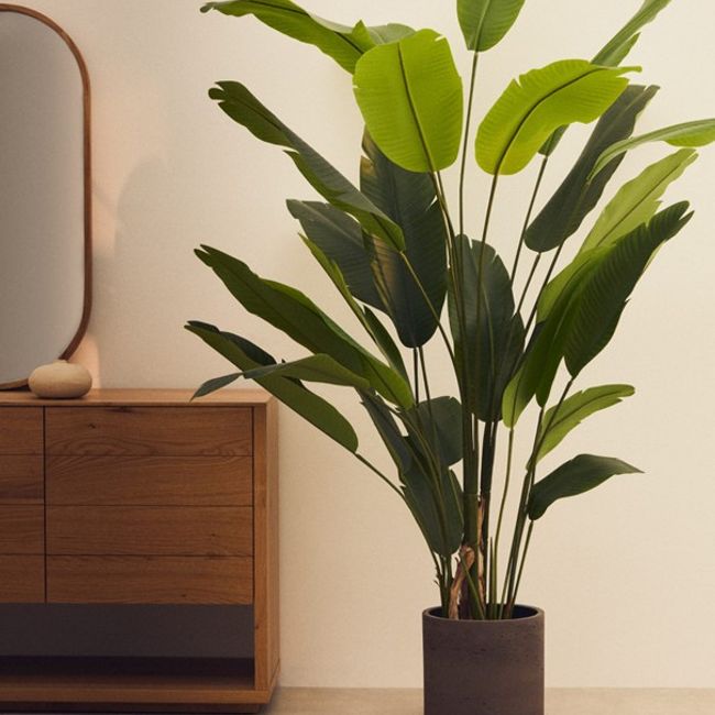Kunstboom bananenplant BANANO in een donkergrijze pot, met groene bladeren van kunststof.