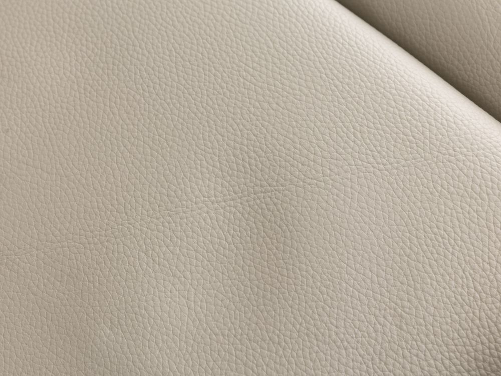 Elektr. relaxfauteuil RUDOLPH - Lichtgrijs leder DEZ-79-TZ1