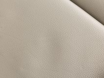 Elektr. relaxfauteuil RUDOLPH - Lichtgrijs leder DEZ-79-TZ1