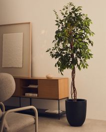 Kunstboom FICUS - 180 cm KAV D1700021SS06