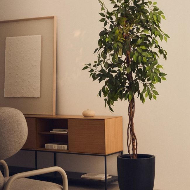 Kunstboom FICUS - 180 cm