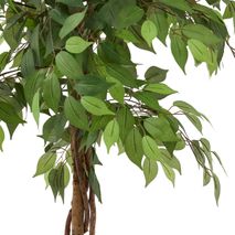 Kunstboom FICUS - 180 cm KAV D1700021SS06