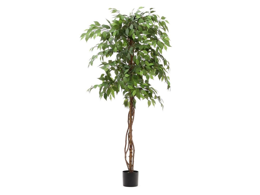 Kunstboom FICUS - 180 cm KAV D1700021SS06