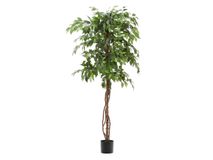 Kunstboom FICUS - 180 cm KAV D1700021SS06