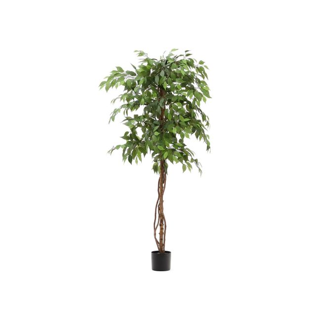 Kunstboom FICUS - 180 cm
