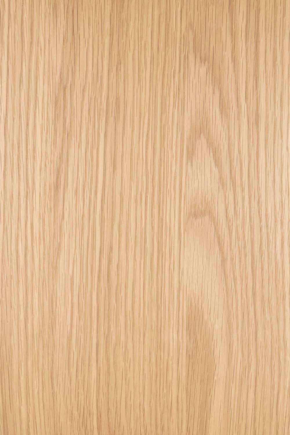 Opbergkast STORM - Essenhout / Eikenfineer ZVR 1001877