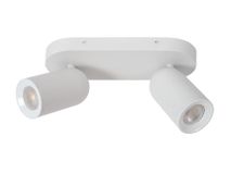 Plafondspot 2x PUNCH - Wit LCD139580231