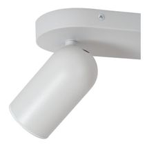 Plafondspot 2x PUNCH - Wit LCD139580231