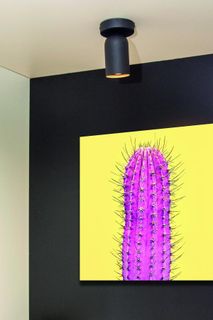 Plafondspot 1x PUNCH - Zwart LCD139580130