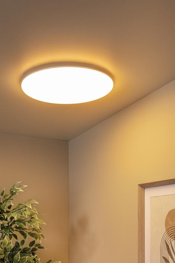 Plafondlamp OLSON - Opaal
