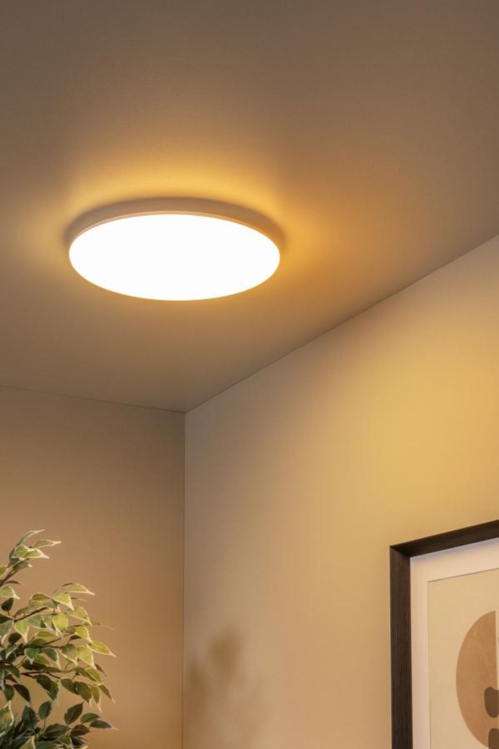 Plafondlamp OLSON - Opaal LCD791903661