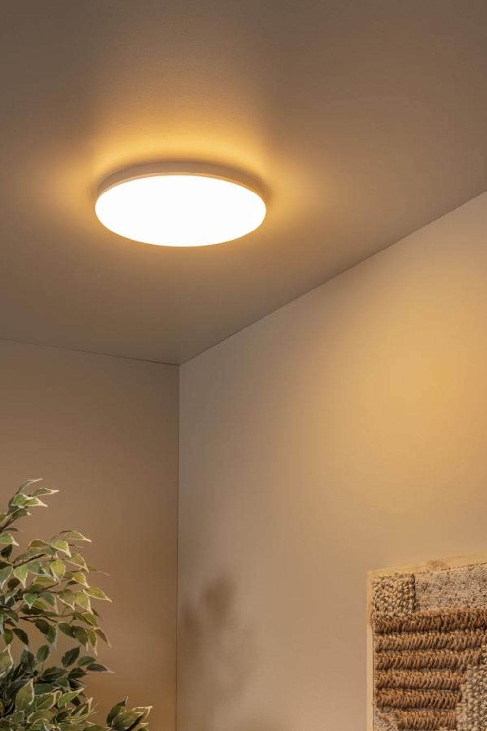 Plafondlamp OLSON - Opaal LCD791902461
