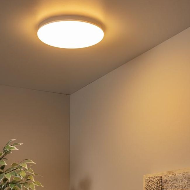 Plafondlamp OLSON - Opaal