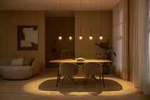 Hanglamp CALINA - Bruin LCD244063696