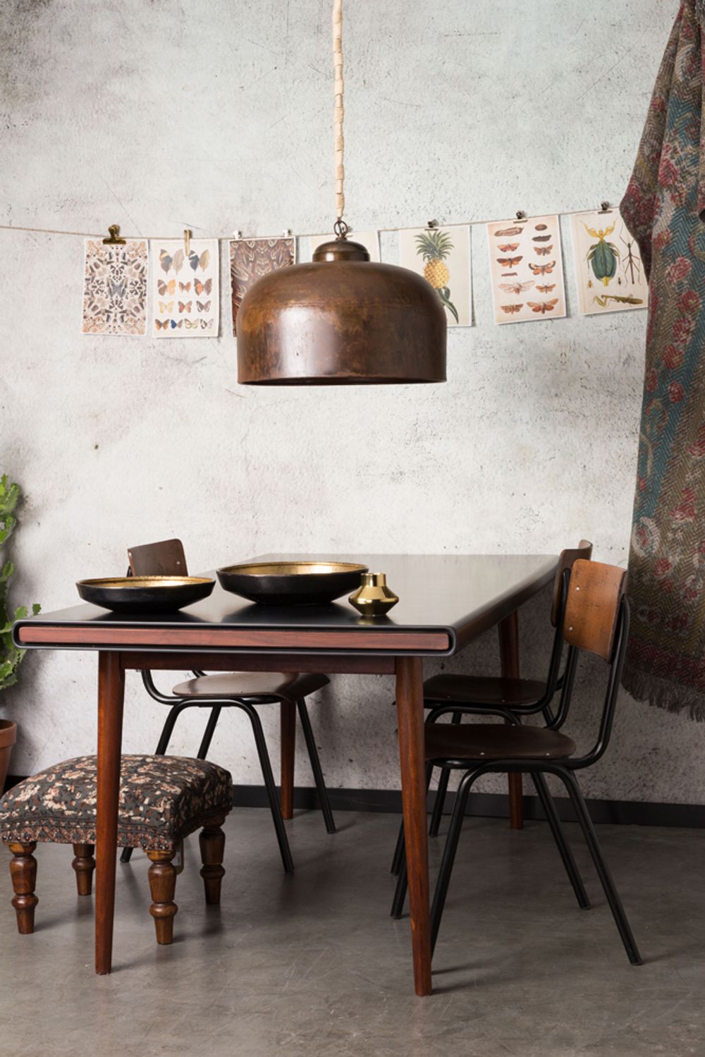 Stoel SCUOLA - Walnut ZVR 1100239