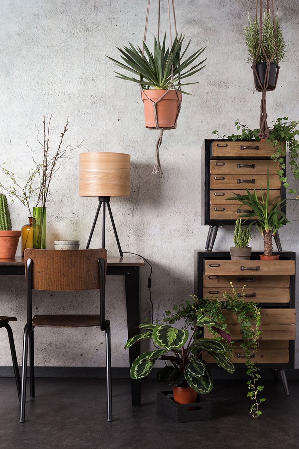 Stoel SCUOLA - Walnut ZVR 1100239