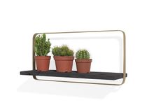 Wandplank ROSETTA - Zwart/Goud CCM 40510-ZWA
