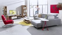 Toonzaalmodel: Luzern fauteuil in rvs XOO 26312-1