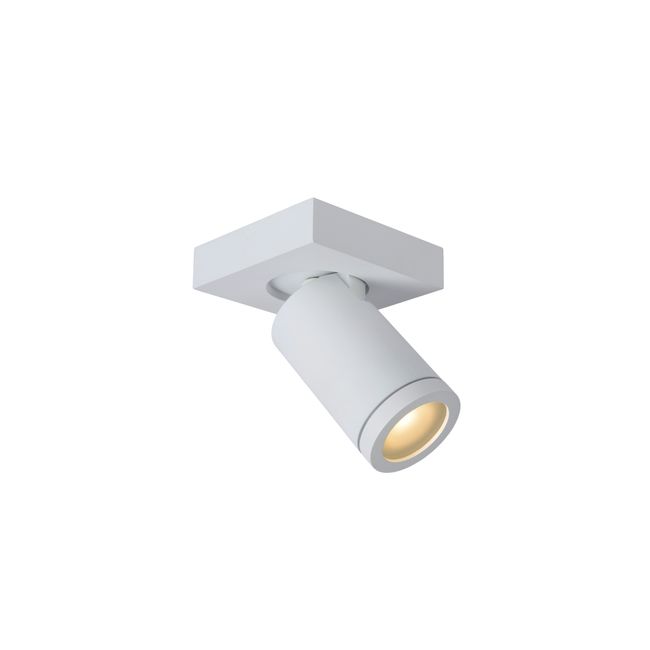 Plafondspot TAYLOR 1x - Wit