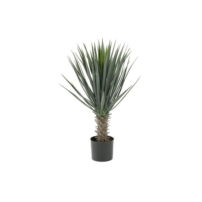 Kunstplant ZELENA Yucca met groene agavebladeren en bruine stam in zwarte plastic pot.