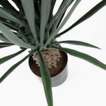 Kunstplant ZELENA - Yucca KAV AA3183