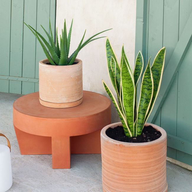 Set van 2 terracotta bloempotten KARLINA met schotel, bruin keramiek.